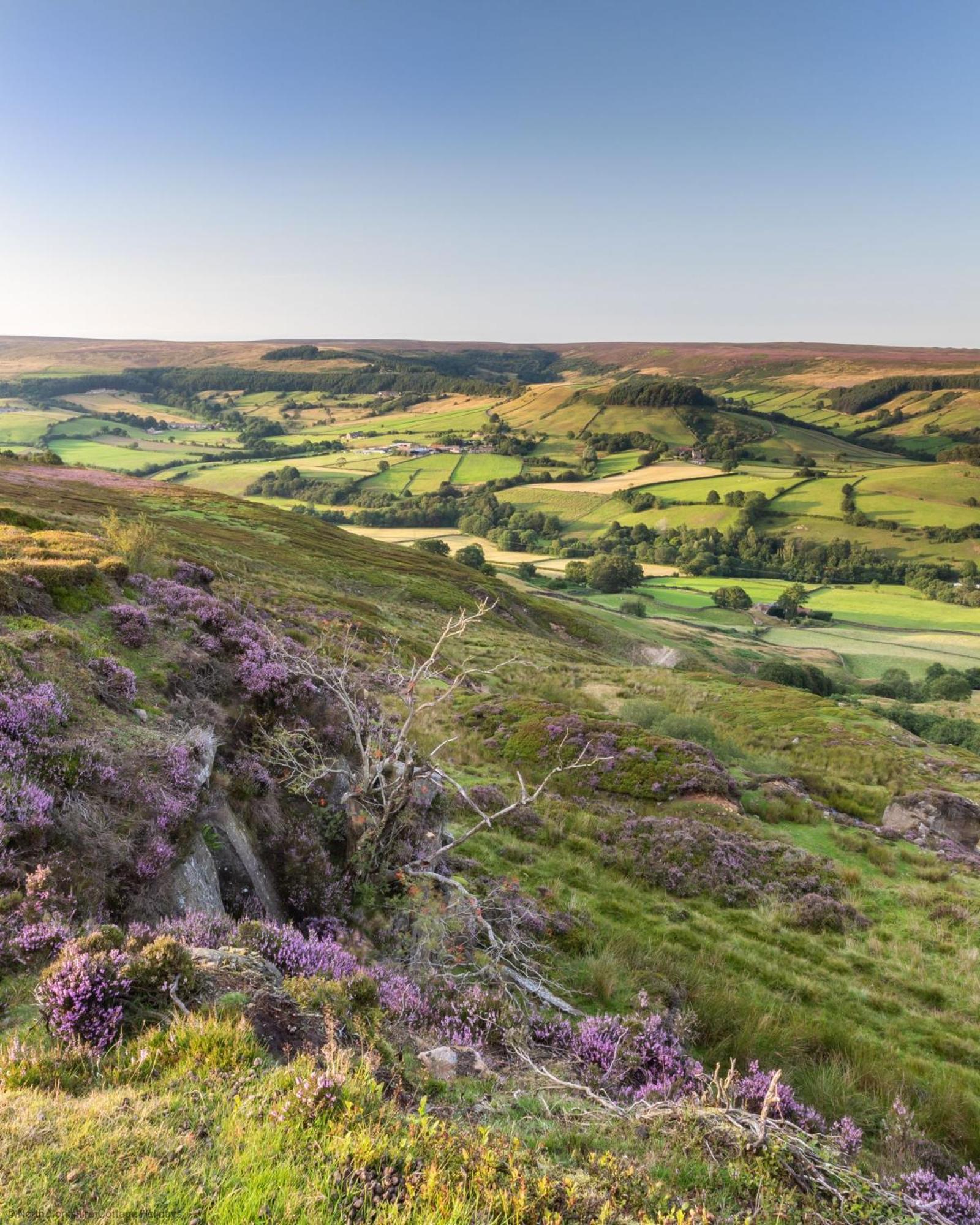 Picturesque Stone Cottage In The Heart Of North Yorkshire Village - Hideaway Cottage Экстерьер фото